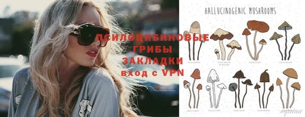 герыч Алексин