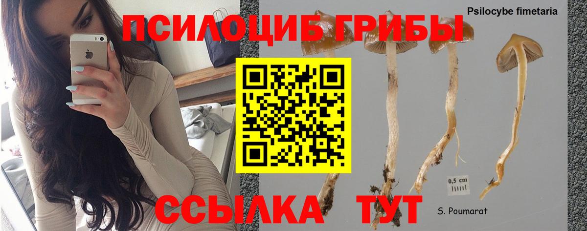 Псилоцибиновые грибы мухоморы  Вход с VPN  Кондопога 