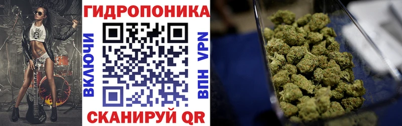 где найти   Кондопога  Марихуана White Widow 